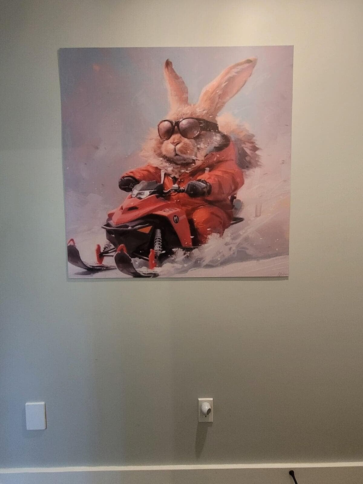 Lower floor living area